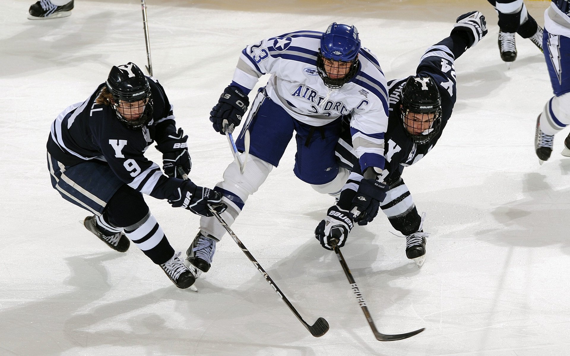 新秀掌控全队 氛围焕发 迎接新挑战，新秀队应该起什么口号